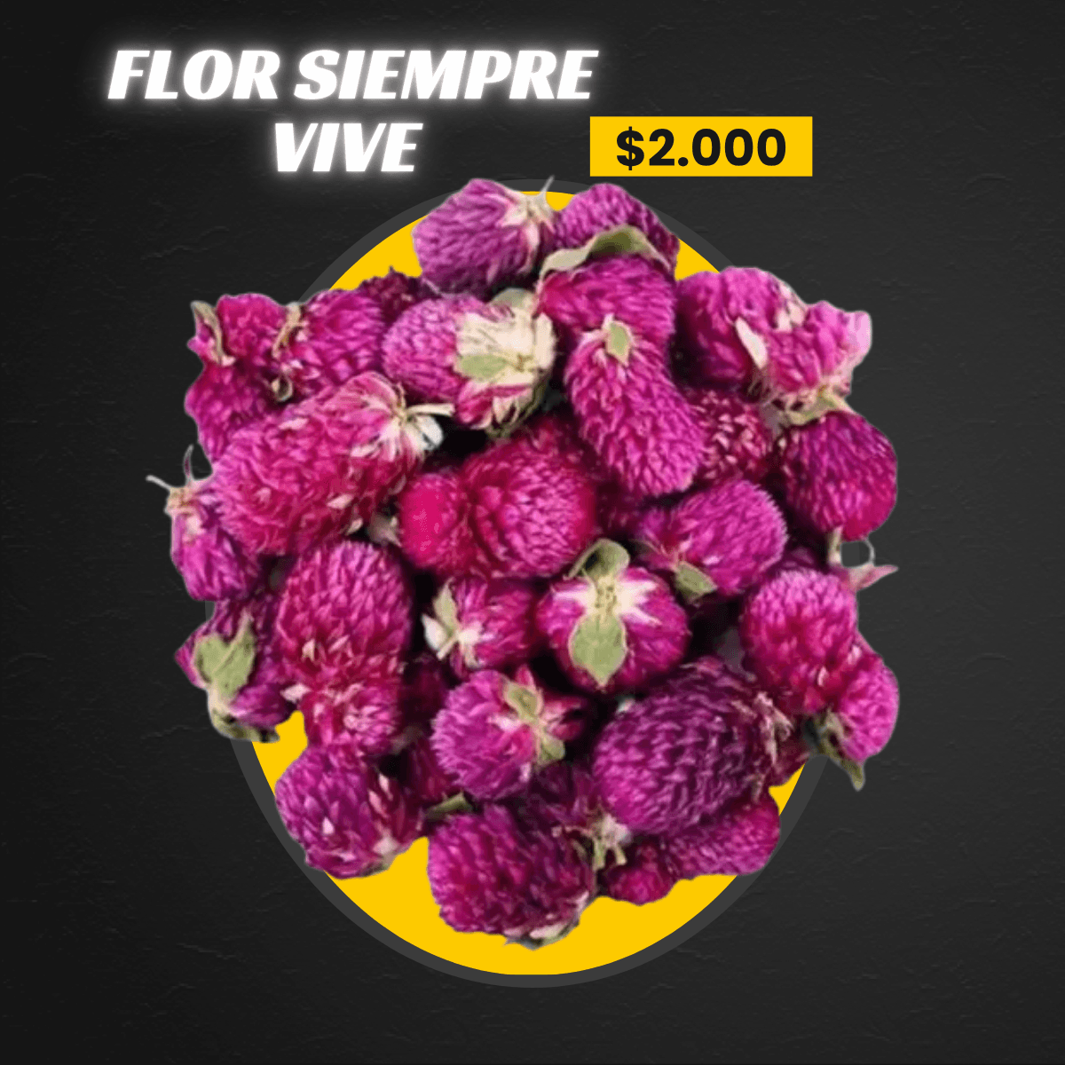 FLOR SIEMPRE VIVE